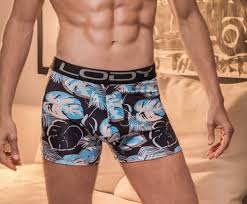 Boxer LODY 868